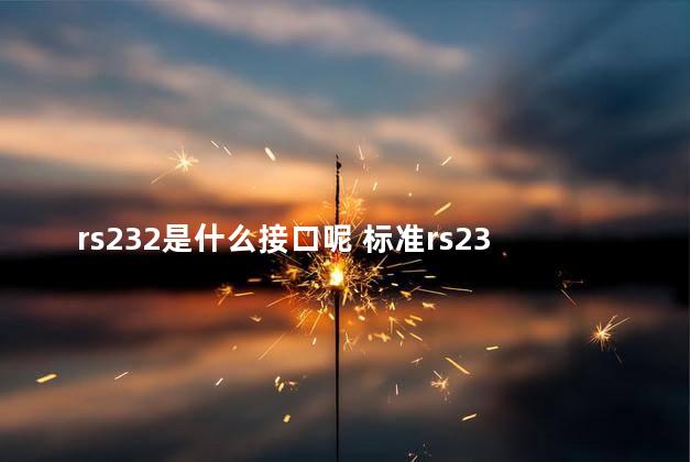 rs232是什么接口呢 标准rs232接口有几针